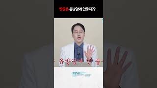 땅콩은 유방암에 안좋다???  #유방암에좋은음식 #유방암에안좋은음식 #암과땅콩