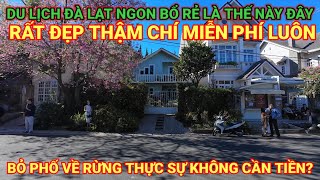 DU LỊCH ĐÀ LẠT ĐẸP NGON BỔ RẺ MIỄN PHÍ LUÔN. BỎ PHỐ VỀ RỪNG KHÔNG CẦN ĐẾN TIỀN?