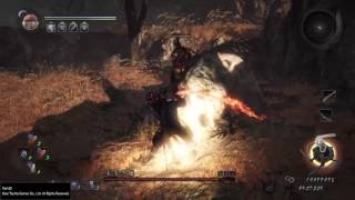 NIOH 仁王 頓悟之道篇 仁王