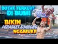 BOTAK TIKTOK ( CELLOSZXZ ) KENA MENTAL LAWAN PEBASKET SOMBONG !!