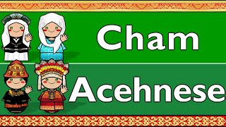 AUSTRONESIAN: WESTERN CHAM \u0026 ACEHNESE