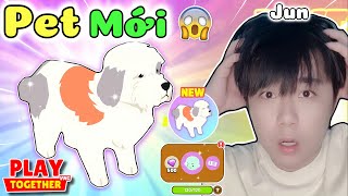 Play Together | Mình Đã Nhận 500.KC Để Mua Hết Trứng Pet Chó Chăn Cừu Mới