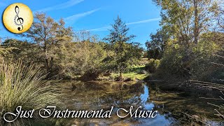 Piano & Nature 🎹🍂 Just Instrumental Music