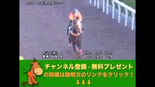 福島牝馬ステークス（GIII） ハピネスダンサー調教動画　「競馬レース結果ハイライト」2016年