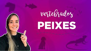 CORDADOS E PEIXES - ZOOLOGIA I Prof. Louise Medeiros