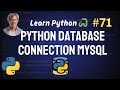 Python MySQL Database Connection - Python Full Course 🐍 2024
