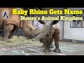 Baby Rhino Gets His Name At Disney's Animal Kingdom Park