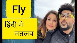 Fly Lyrics Meaning In Hindi - Badshah | Shehnaaz Gill | Uchana Amit New Latest Punjabi Song 2021