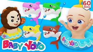 The Colors Song (Dancing Baby Shark) + more nursery rhymes & Kids songs - Baby yoyo