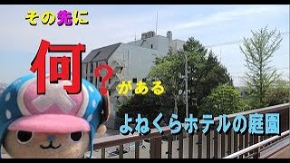 その先に何がある？【よねくらホテルの庭園編】