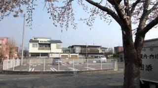 動画20160416「マイ桜の様子④」＠岩手県久慈市08:13頃