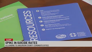 Anderson County sees record spike in suicides, nearly double last year's