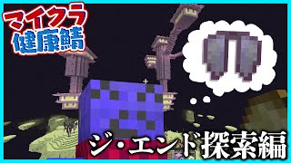 エリトラ探しは超過酷！！マイクラ健康鯖ジ・エンド探索【#らっだぁ切り抜き】