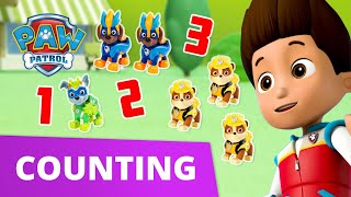 Learn Counting with the PAW Patrol! - PAW Patrol Official & Friends