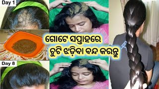 ଗୋଟେ ସପ୍ତାହରେ ଚୁଟି ଝଡ଼ିବା ବନ୍ଦ କରନ୍ତୁ ||ଚୁଟି ବଢିବା ପାଇଁ ସହଜ ଉପାୟ || odia haircare ||Arpitabidyapriya