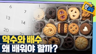 [핫클립] 실생활에 자주 쓰이는 약수와 배수 / YTN 사이언스