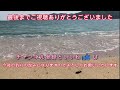 【鹿児島県桜島でクロ釣り】久しぶりに桜島に行ってみました。暑い中、どこも釣り人が多かったです。