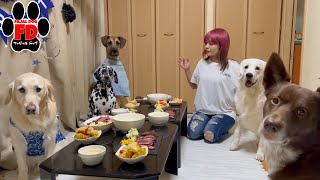 【大型犬５匹】もはや誰の誕生日か分からないw英国ゴールデンレトリーバー子犬