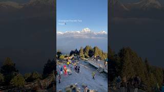 Ghorepani Poonhill Trek at Nepal #song #music #newsong #placesnepal #travelgram