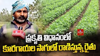 ప్రకృతి విధానంలో కూరగాయల సాగులో రాణిస్తున్న రైతు | Nelatalli | hmtv Agri