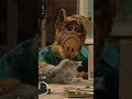 alf needs $$ for his pet 🐈