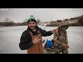 catching fish to stock my backyard cabin pond