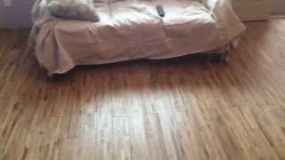 Finished Floor Timberclick Real Hardwood Flooring 225 SF