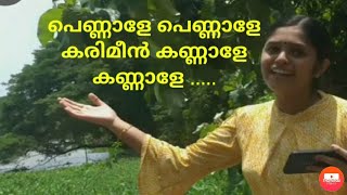 പെണ്ണാളേ പെണ്ണാളേ ......😍ചെമ്മീൻ സിനിമയിലെ  ഒരു ഗാനം 💥😍😍