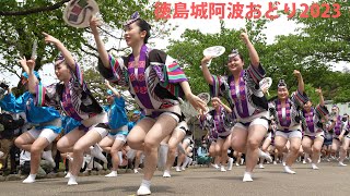 圧巻!!　徳島城阿波おどり【オープニングイベント・合同演舞】 Awaodori - Tokushima Castle Awaodori 2023-　  [4K 60P]