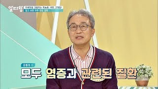 건강의 적, 축농증·비염·고혈압의 연결 고리 ☞ '염증' TV정보쇼 알짜왕 94회