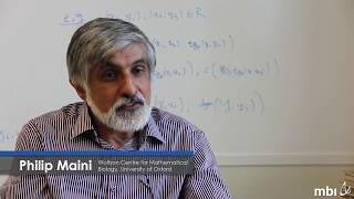 Growth and Morphogenesis - Semester Overview | Philip Maini