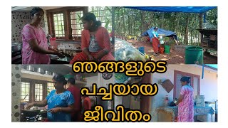 നാട്ടിൻപുറത്തെ അമ്മായിയമ്മയും മരുമകളും/എഡിറ്റിങ് ഇല്ലാതെ/Day In My life/village life style/vlog/