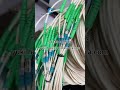 fiber optic patch cord manufacturing process #fibercable #patchcord #ftth #factory #fiberoptics