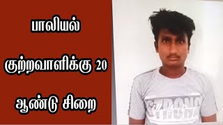 பாலியல் குற்றவாளிக்கு 20 ஆண்டு சிறை