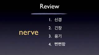 (김정민의 퀼립 구조 영어) 단어 #19 nerve