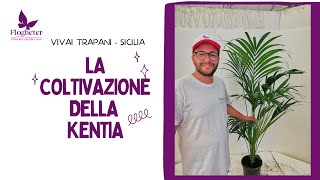 Produzione di Kentia 100% Siciliana!