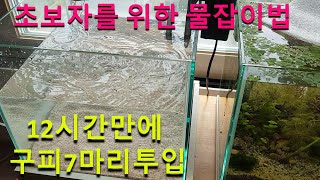 초보자를 위한 어항 물잡이 방법 12시간만에 구피(알풀) 7마리 새우(블러드메리) 10마리 투입