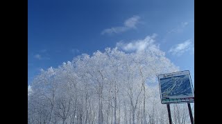 R３年１月３１日（日）＜函館七飯スノーパークにて＞今季初のテレマークスキーを♪