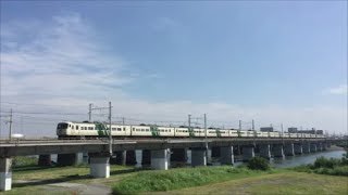 185系踊り子号15両編成　爆音を響かせ夏の相模川高速通過/Japan Railway/Japan Train