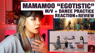 OG KPOP STAN/RETIRED DANCER reacts+review MAMAMOO 