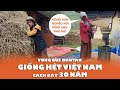 Nông thôn ở nước hạnh phúc nhất thế giới giống y VN 40, nông dân nói tiếng Anh như gió  🇧🇹