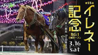 ばんえい十勝ライブ３月１６日イレネー記念