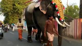 Uchimakali Amman Pooja 2019, Pulikkal Veedu, Kottekkad, Palakkad