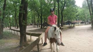 Ponyparkcity 25 mei chester en noblesse