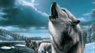 Spirit Wolves 0001