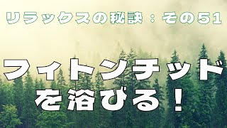 フィトンチッドを浴びる！ #リラックスの秘訣