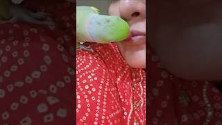 Mittu kiss 💚😘 #tallkingparrot #mittu #indianringneckparrot #kiss #mommy #shorts