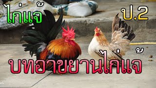 บทอาขยานไก่แจ้ ป.2 #ไก่แจ้ #ทำนองเสนาะ