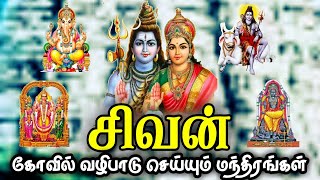 சிவன் மந்திரம் | பார்வதி தேவி | பிள்ளையார் | காயத்ரி மந்திரம் | All gods mantram | ManiMalar | Sloka