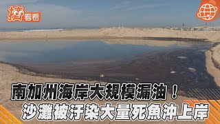 南加州海岸大規模漏油! 沙灘被汙染大量死魚沖上岸｜TVBS新聞｜擠看看